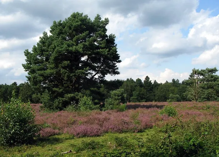 De Beverhoek Bed & Breakfast